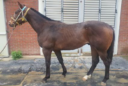 Ȧ���� ����