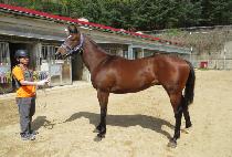 ����÷η��� (RAON FLORENCE) ����