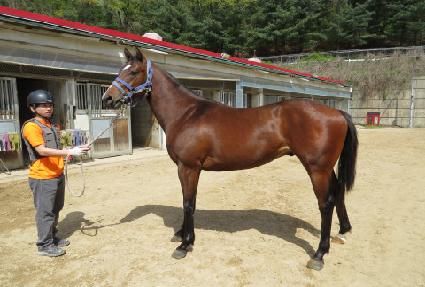 ����÷η��� ����