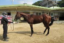 �ϴÿ��� (HANEUL YEONGGWANG) ����