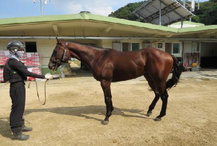 �ϴÿ��� ����