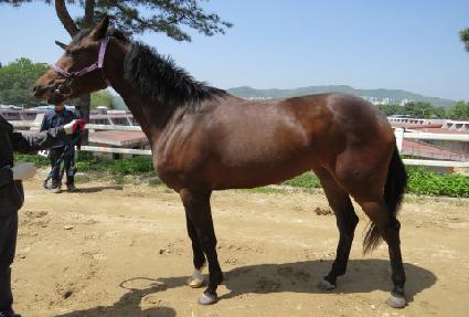 ������è�� ����