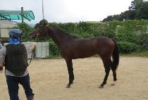 ���̿��Ŀ� (J ONE POWER) ����