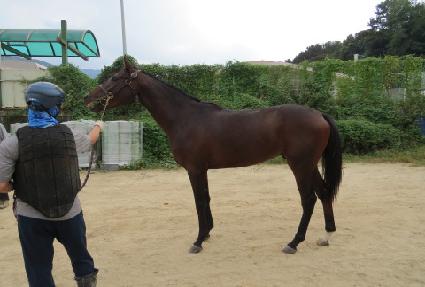 ���̿��Ŀ� ����