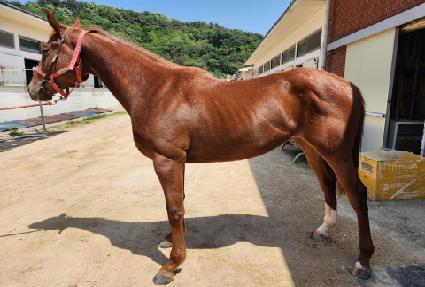 ������������ ����