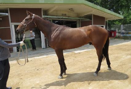 �η���Ÿ���� ����