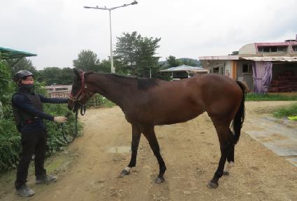 ����Ǯƪ�� ����