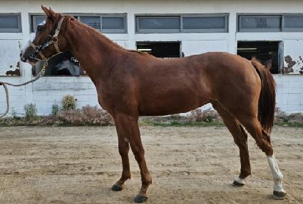 ����Ǯ��ũ ����