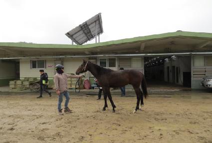 ��ŷ��� ����