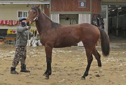 ��ȭ������ ����