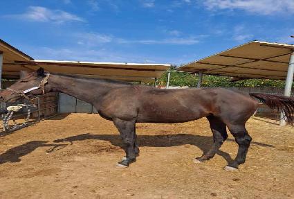 ���̸��� ����