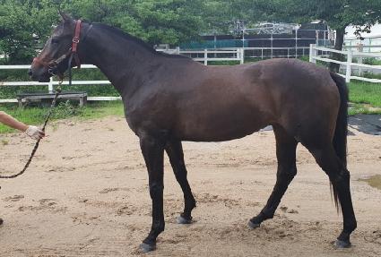 ����� ����