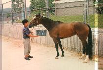 �����׷� (JUNG KI HANG NO) ����