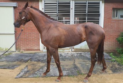 ���己 ����