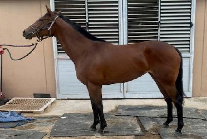 �̶��� ����