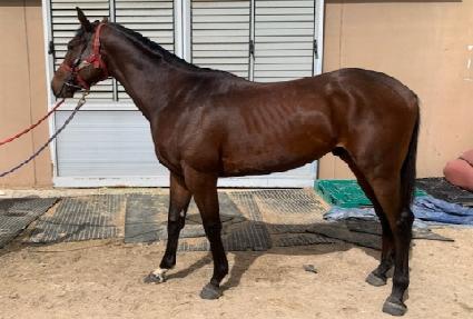 ���ҽ� ����