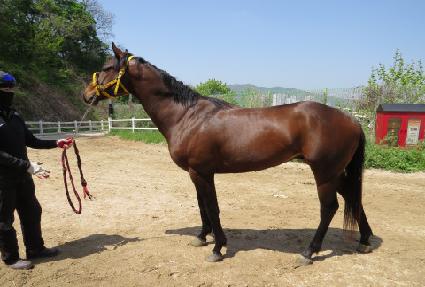 �ö������ڵ� ����