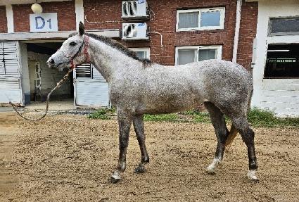 ��񼱴� ����