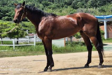 �ٺ�Ʈ����� ����