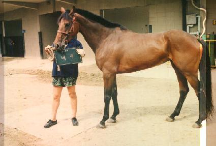 ��� ����