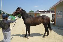 ���������� (HYEOKMYEONGUIJILJU) ����