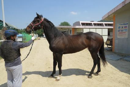 ���������� ����