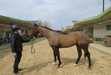 ��õ����Ÿ ����