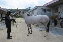 �ö��׵��� (FLYING DAY) ����