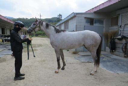 �ö��׵��� ����