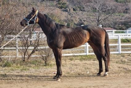 �������ǵ� ����