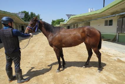 ����¡û�� ����