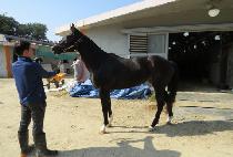 STEP BY STEP picture