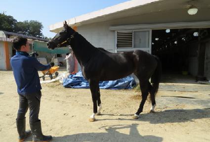 ���ܹ��̽��� ����