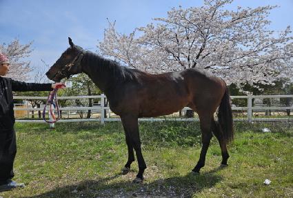 �����Ʈ���� ����