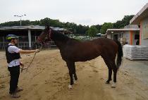 ���ø�Ʈ��ġ (COMPLETE TOUCH) ����