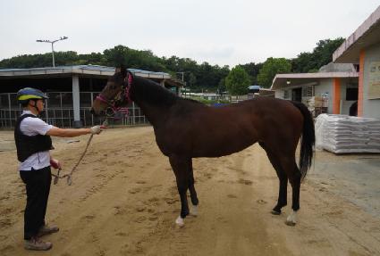 ���ø�Ʈ��ġ ����