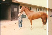 ���ֻ�Ű� (JILJOOSAMMAEKYOUNG) ����