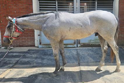 �ΰ�Ʈ���� ����