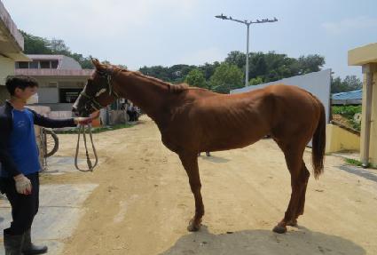 ������¡�޺� ����