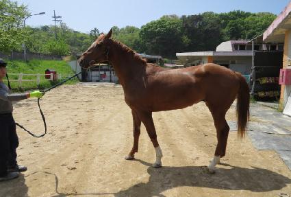 �����縯�� ����