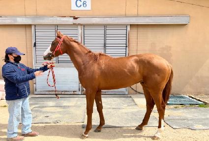 ����Ʈ�� ����