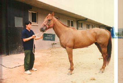 ���ʼҷ� ����