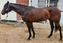 �������� (YULIM SESANG) ����