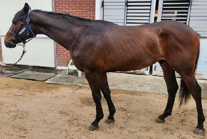 �������� ����