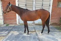 �̴�ǮŸ�� (MEANINGFUL TIME) ����