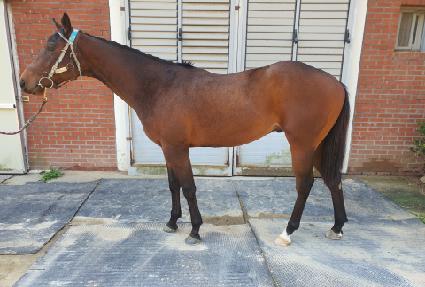 �̴�ǮŸ�� ����