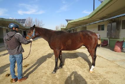 ���������̴� ����