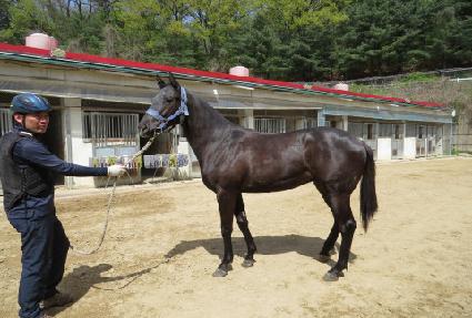 ��½��ʷ�Ÿ ����