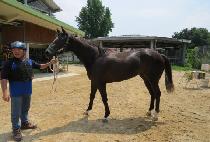 �������� (GOOD FRIEND) ����