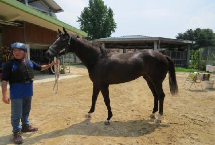 �������� ����